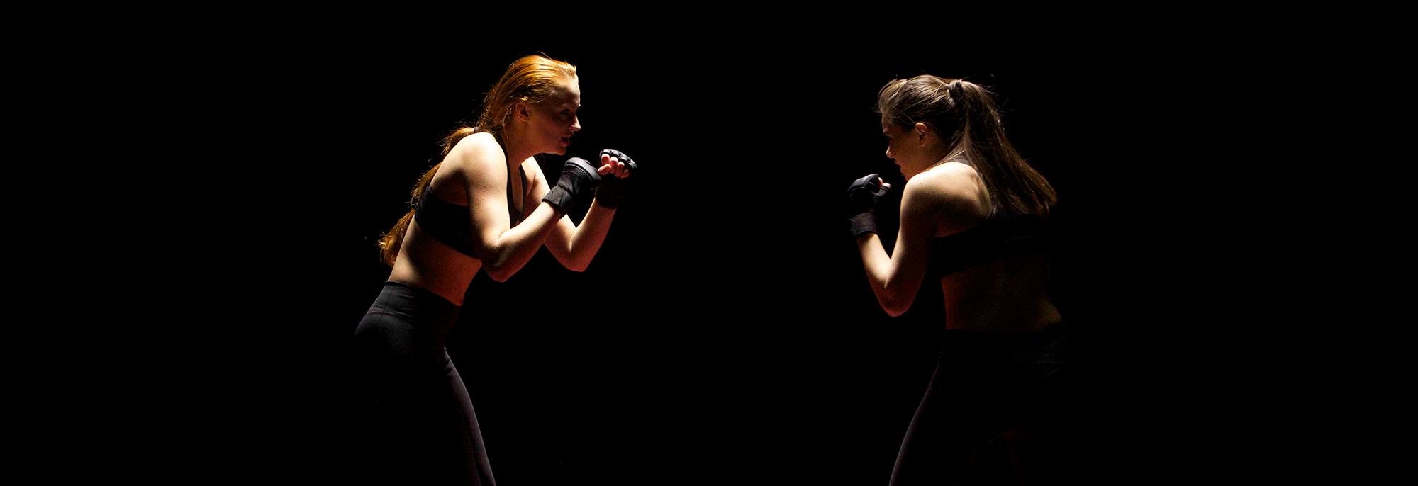 Barely Lethal Cover