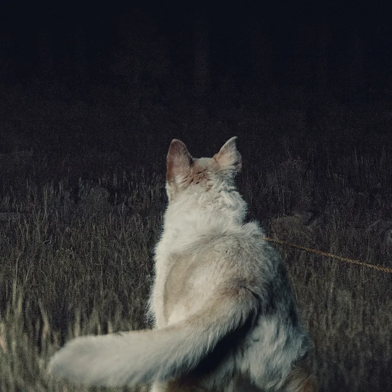 It Comes At Night Teaser Square