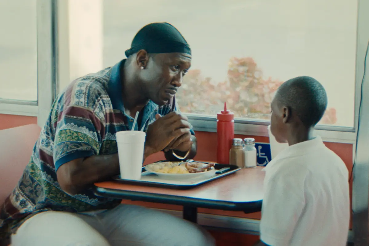 Moonlight Dad